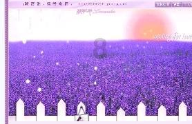 探索问题的答案-在你心中,青辣椒炒什么最好吃?问答网站